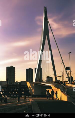 Pont Erasmus. Pont combiné à câbles et pont de base. Des lignes blanches et un coucher de soleil époustouflant. Banque D'Images