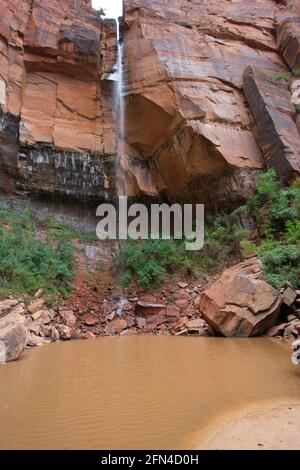 Paysage sur la promenade en bord de rivière à Virgin River dans le parc national de Zion Dans l'Utah, aux États-Unis Banque D'Images