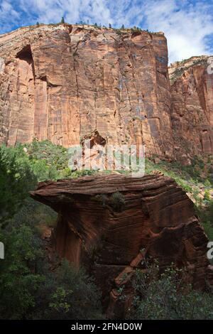 Paysage sur la promenade en bord de rivière à Virgin River dans le parc national de Zion Dans l'Utah, aux États-Unis Banque D'Images