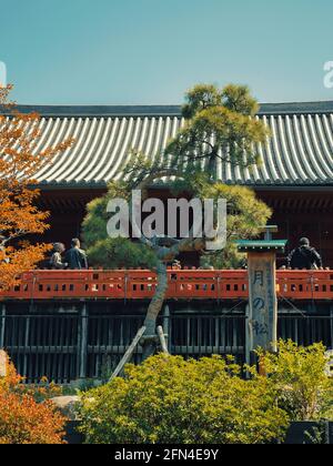 Moon Pine Tree dans le parc Ueno. Célèbre pin en forme d'anneau à l'entrée de Kiyomizu Kannon-do. Culture japonaise et merveilles touristiques à découvrir. Banque D'Images