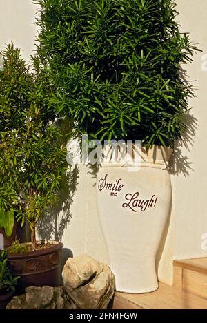 Sourire et rire! écrit sur un vase en argile, rempli de plantes vertes joliment arrangé à une entrée extérieure d'une maison dans la lumière chaude d'été ambiante Banque D'Images