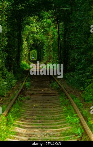 Tunnel d'amour avec arbres et chemin de fer Banque D'Images