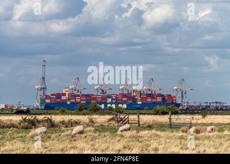 Cooling, 12 mai 2021 : vue sur le port de London Gateway depuis Cliffe, sur la péninsule de Hoo, Kent Banque D'Images