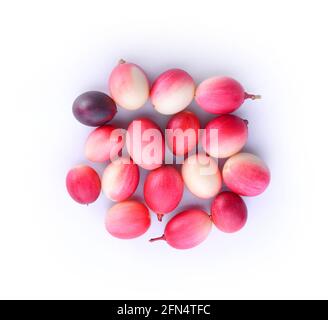 groseilles du bengale, carandas-prune, sur fond blanc Banque D'Images