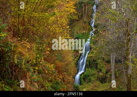 Rivière Toran et chute d'eau de la Saut d'Arbaet, en automne, dans la vallée de la Toran (Vallée de l'Aran, Catalogne, Espagne, Pyrénées) ESP: Río de Toran y cascada en otoño Banque D'Images