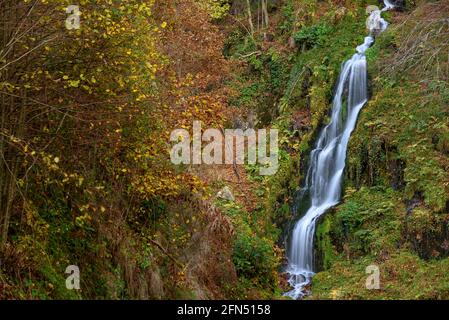 Rivière Toran et chute d'eau de la Saut d'Arbaet, en automne, dans la vallée de la Toran (Vallée de l'Aran, Catalogne, Espagne, Pyrénées) ESP: Río de Toran y cascada en otoño Banque D'Images