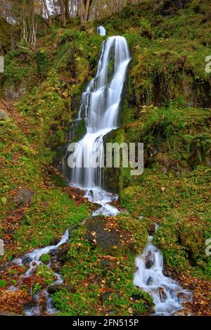 Rivière Toran et chute d'eau de la Saut d'Arbaet, en automne, dans la vallée de la Toran (Vallée de l'Aran, Catalogne, Espagne, Pyrénées) ESP: Río de Toran y cascada en otoño Banque D'Images