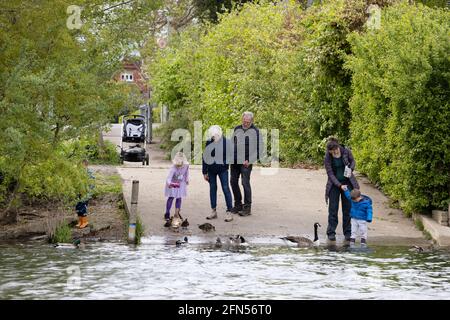 Famille Royaume-Uni, trois générations d'une famille nourrissant des canards et des oies en été sur la Tamise à Wallingford Oxfordshire Royaume-Uni. Gamme multigénération Banque D'Images