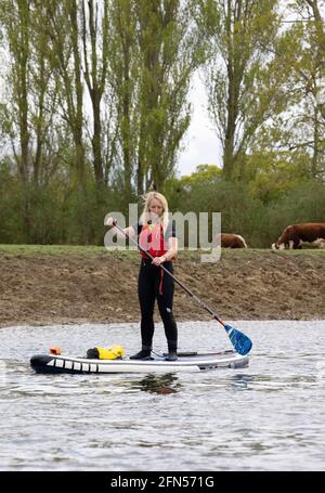 Paddle boarding UK ; Une femme paddle boarder, paddle boarding sur la Tamise à Wallingford Oxfordshire UK Banque D'Images