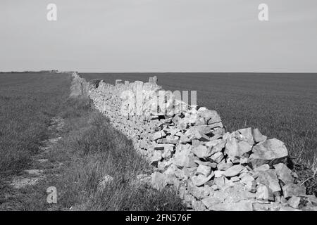 Terres agricoles verdoyantes et vieux murs en pierre sur le Sommet de la falaise de Nash point le long du chemin côtier de Llantwitt Major à la plage d'Aberthaw Banque D'Images