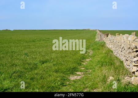 Terres agricoles verdoyantes et vieux murs en pierre sur le Sommet de la falaise de Nash point le long du chemin côtier de Llantwitt Major à la plage d'Aberthaw Banque D'Images