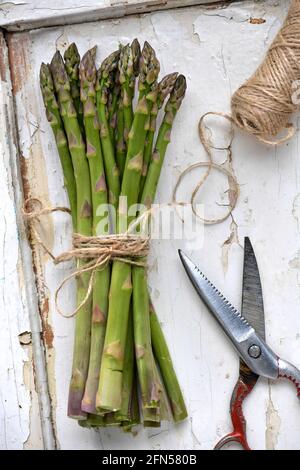 Asperge verte photo Janerik Henriksson / TT code 10010 Banque D'Images