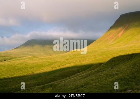 Soleil du soir sur Fan Foel et Picws du sur l'escarpement des fans de Carmarthen (Bannau Sir Gaer) dans le parc national de Bannau Brycheiniog (Brecon Beacons), Carmarthenshire, pays de Galles du Sud. Banque D'Images