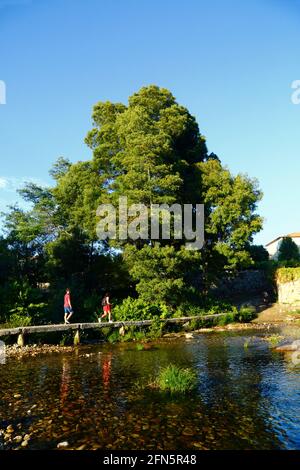 Personnes marchant à travers le vieux pont en pierre sur la rivière Ancora à Porto Covo, près de Vila Praia de Ancora, province de Minho, nord du Portugal Banque D'Images