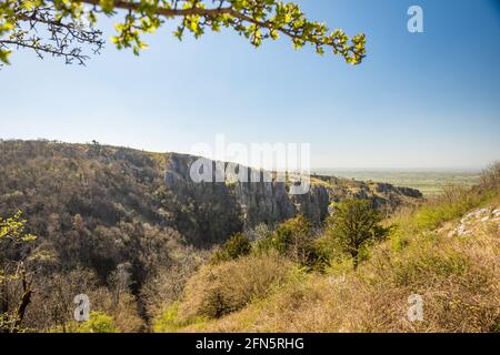 Gorge de cheddar dans les collines de Mendip, Somerset, Royaume-Uni Banque D'Images