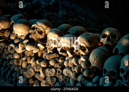 Crânes au cimetière Fontanelle (Cimitero Delle Fontanelle) à Naples Banque D'Images