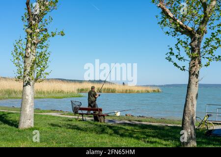 Vieux fischerman actif avec un banc au lac Balaton . Banque D'Images