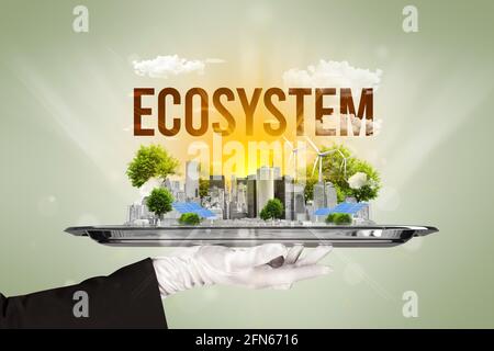 Concept éco-urbain pour serveur