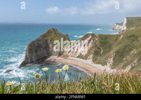 Man O war Cove Beach, Dorset, Royaume-Uni Banque D'Images