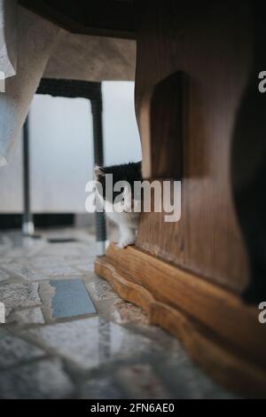 Photo verticale d'un adorable chaton noir et blanc qui se cache derrière une patte de table en bois Banque D'Images
