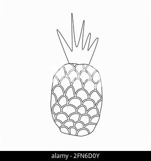 Illustration vectorielle noir et blanc de la feuille de coloriage ananas Illustration de Vecteur