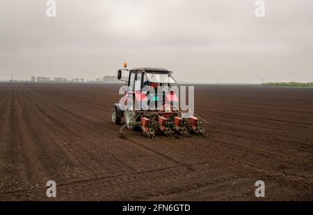 Vue arrière du tracteur fauchage dans le champ au printemps Banque D'Images