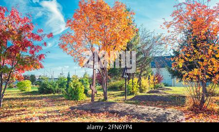 Arbres aux couleurs vives de l'automne dans le cimetière. Tombes avec croix en bois par jour ensoleillé. Banque D'Images