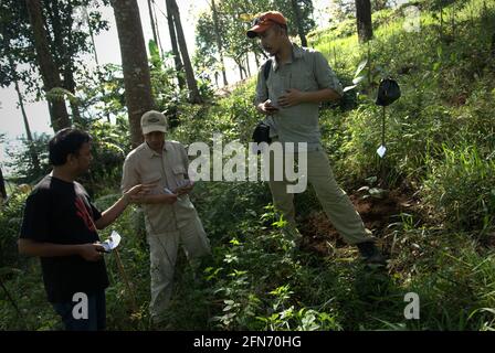 Les travailleurs du projet et un adopteur discutant des notes sur les arbres nouvellement plantés par les adopteurs lors d'un programme d'adoption d'arbres en 2013--une partie du projet de reboisement dans le parc national du Mont Gede Pangrango, West Java, Indonésie. Banque D'Images