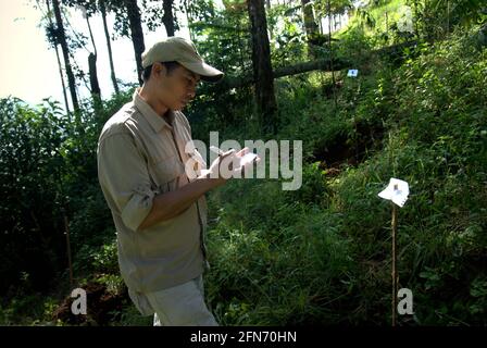 Un travailleur du projet prend des notes sur les arbres nouvellement plantés par les adopteurs au cours d'un programme d'adoption d'arbres en 2013, dans le cadre d'un projet de reboisement dans le parc national du Mont Gede Pangrango, West Java, Indonésie. Banque D'Images