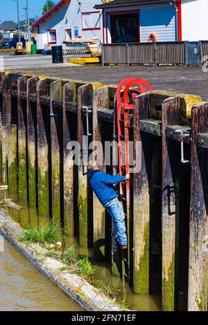 Personne inspectant une jetée dans le port de Steveston à marée basse Colombie-Britannique Canada Banque D'Images