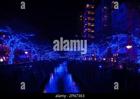 Lumière de Noël LED bleue au-dessus de la rivière à Nakameguro, Tokyo, Japon. Banque D'Images