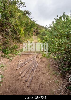 Vues sur le circuit de marche de Tongue point, parc national Wilsons Promontory, Australie Banque D'Images