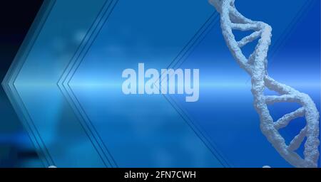 Composition du brin d'adn 3d blanc avec espace de copie activé arrière-plan bleu Banque D'Images
