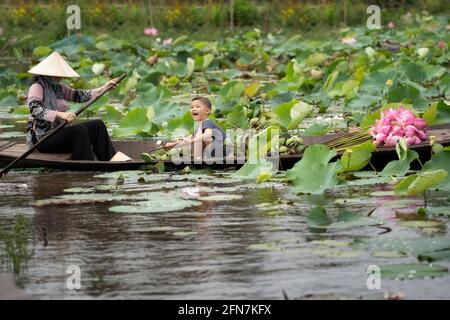 Un garçon vietnamien jouant avec une maman faisant du bateau traditionnel en bois pour garder le lotus rose dans le grand lac de thap muoi, province de dong thap, vietnam, Banque D'Images