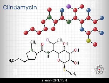 Molécule de clindamycine. Il s'agit d'un médicament antibactérien à base de lincosamide, un antibiotique à large spectre semi-synthétique. Formule chimique structurelle, modèle moléculaire. Shee Illustration de Vecteur