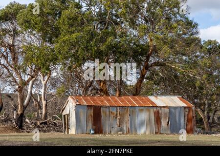 Hangar de tim rouillé avec de beaux arbres en arrière-plan Kangaroo Island Australie méridionale le 7 mai 2021 Banque D'Images