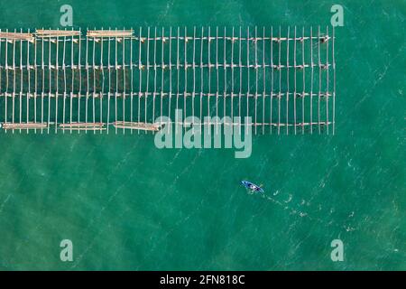 Vues aériennes des fermes de moules de la baie d'Alfacs (Badia dels Alfacs) au coucher du soleil, dans le delta de l'Ebre (province de Tarragone, Catalogne, Espagne) Banque D'Images