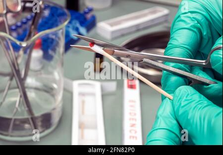 Police criminaliste spécialisée coupée avec des ciseaux d'écouvillons de sang, analyse d'ADN, image conceptuelle Banque D'Images