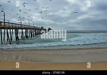 Paysage de mer par une journée nuageux avec des mouettes survolant l'Imperial Beach Pier à San Diego, Californie du Sud, États-Unis. Banque D'Images