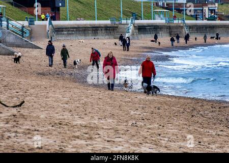 Randonneurs de chiens sur la plage de Whitley Bay DANS LE HIVER Banque D'Images