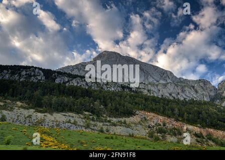 Pedraforca face sud vue de Coll de Jou et des prés dans les anciennes mines de Saldes (Berguedà, Catalogne, Espagne, Pyrénées) ESP: Cara sur del Pedraforca Banque D'Images