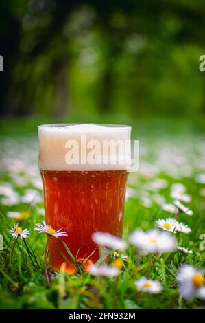 Bière maison Banque D'Images