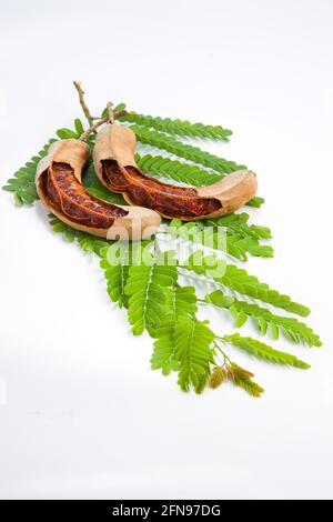Gousses de type Tamarind  haricot remplies de graines entourées d'une pulpe fibreuse disposée dans un fond blanc texturé avec sa feuille verte fraîche. Banque D'Images