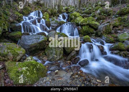 Cascade dans la rivière Toran, dans la vallée de Torán (Vallée d'Aran, Catalogne, Espagne, Pyrénées) ESP: Salto de agua en el río Toran, en el Valle de Torán Banque D'Images