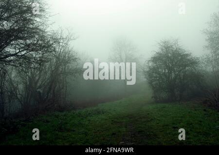 Une édition de moody d'un chemin traversant une forêt dans la campagne. Sur une sombre brumeuse, hivers jour. Banque D'Images