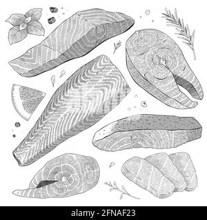 Set de saumon, steak de poisson, filet de l'atlantique, tranches de sashimi et saumon entier sur la peau, illustration réaliste détaillée, dessin de baume et d'encre blanche, vecteur Illustration de Vecteur