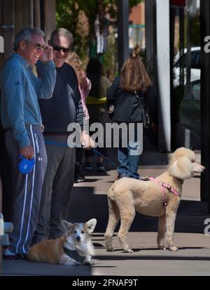 Deux hommes avec des chiens parlent sur un trottoir à l'extérieur d'un magasin de détail tandis que leurs femmes magasinent à Santa Fe, Nouveau-Mexique. Banque D'Images