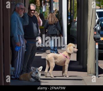 Deux hommes avec des chiens parlent sur un trottoir à l'extérieur d'un magasin de détail tandis que leurs femmes magasinent à Santa Fe, Nouveau-Mexique. Banque D'Images