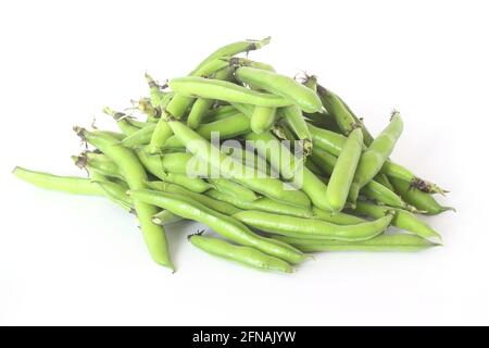 Larges gousses de haricots isolées sur fond blanc Banque D'Images