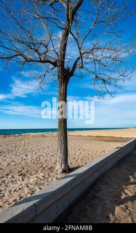 Rivières et plages de sable le long du parc national d'Indiana Dunes Banque D'Images